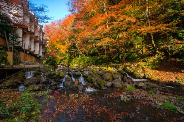 Pintoresca Escena Otoño Japón — Foto de Stock