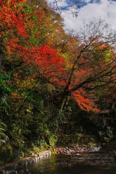 Pintoresca Escena Otoño Japón —  Fotos de Stock