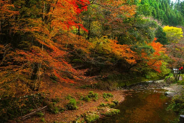 Pintoresca Escena Otoño Japón — Foto de Stock