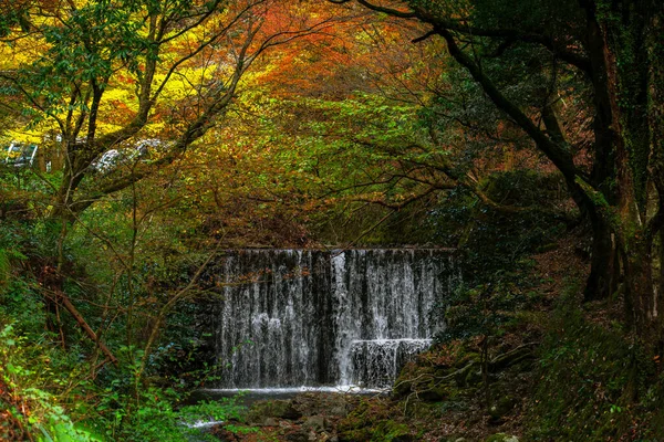 Malerische Herbstszene Japan — Stockfoto