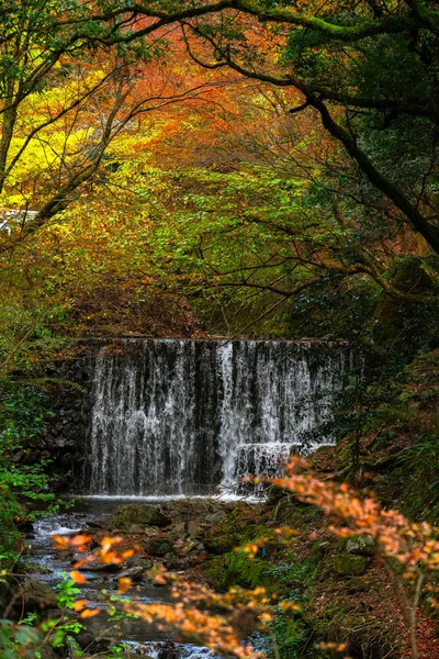 Malerische Herbstszene Japan — Stockfoto