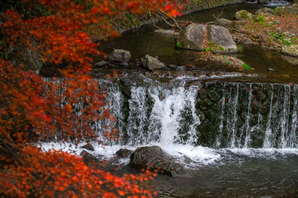 Pintoresca Escena Otoño Japón — Foto de Stock