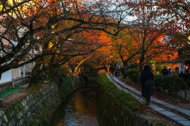 Kyoto, Kansai, Japonya - 21 Kasım 2019 - Felsefe Yürüyüşü Sahnesi (Tetsugaku-no-michi, ya da Felsefe Yolu), Ginkaku-ji ve Nanzen-ji arasında kiraz ağacı kanalı olan patikayı takip eder.