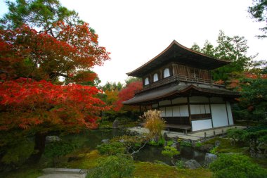 Ginkaku-ji (Gümüş Köşk Tapınağı), resmi adı Jisho-ji (Parlayan Merhamet Tapınağı), Japonya 'nın Kansai eyaletinin Sakyo bölgesinde bir Zen tapınağı.