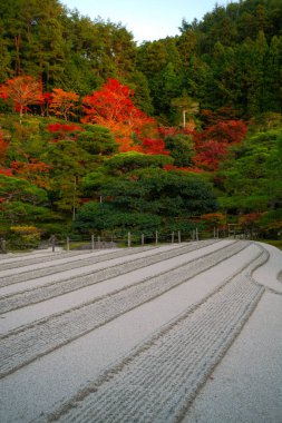Ginkaku-ji 'deki Ginshaden kum bahçesi, Zen bahçesi (veya Japon kaya bahçesi), resmi adı Jisho-ji (Shining Mercy Tapınağı), Kyoto, Kansai, Japonya