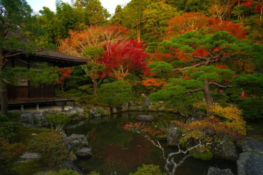 Ginkaku-ji (Gümüş Köşk Tapınağı), resmi adı Jisho-ji (Parlayan Merhamet Tapınağı), Japonya 'nın Kansai eyaletinin Sakyo bölgesinde bir Zen tapınağı.