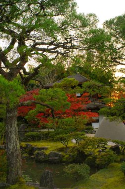 Ginkaku-ji (Gümüş Köşk Tapınağı), resmi adı Jisho-ji (Parlayan Merhamet Tapınağı), Japonya 'nın Kansai eyaletinin Sakyo bölgesinde bir Zen tapınağı.