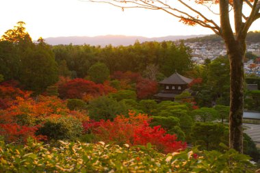 Ginkaku-ji (Gümüş Köşk Tapınağı), resmi adı Jisho-ji (Parlayan Merhamet Tapınağı), Japonya 'nın Kansai eyaletinin Sakyo bölgesinde bir Zen tapınağı.