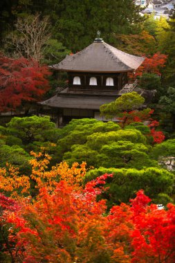 Ginkaku-ji (Gümüş Köşk Tapınağı), resmi adı Jisho-ji (Parlayan Merhamet Tapınağı), Japonya 'nın Kansai eyaletinin Sakyo bölgesinde bir Zen tapınağı.