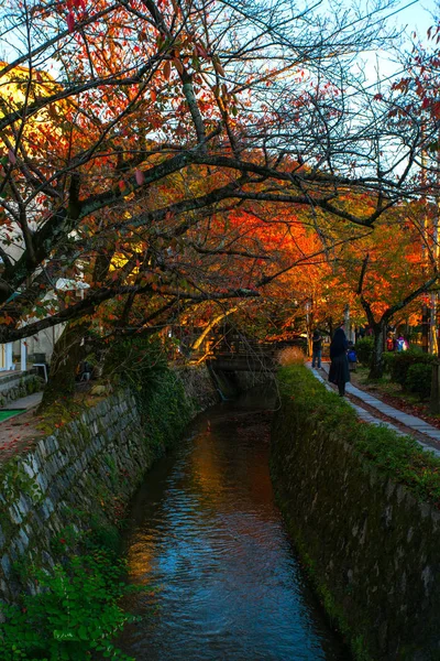 Kioto Kansai Japón Noviembre 2019 Escena Del Paseo Del Filósofo —  Fotos de Stock