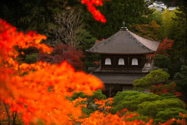 Ginkaku Silverpaviljongens Tempel Officiellt Benämnd Jisho Den Skinande Barmhärtighetens Tempel — Stockfoto