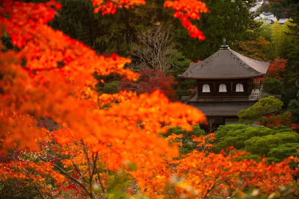 Ginkaku Silverpaviljongens Tempel Officiellt Benämnd Jisho Den Skinande Barmhärtighetens Tempel — Stockfoto