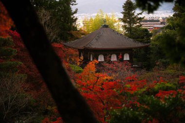 Ginkaku-ji (Gümüş Köşk Tapınağı), resmi adı Jisho-ji (Parlayan Merhamet Tapınağı), Japonya 'nın Kansai eyaletinin Sakyo bölgesinde bir Zen tapınağı.