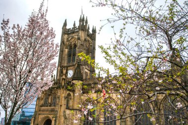 Manchester Katedrali, Manchester Anglikan Piskoposluğu 'nun ana kilisesi, Manchester Piskoposu' nun ve şehrin kilise, Manchester, İngiltere, Uk