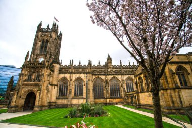 Manchester Katedrali, Manchester Anglikan Piskoposluğu 'nun ana kilisesi, Manchester Piskoposu' nun ve şehrin kilise, Manchester, İngiltere, Uk