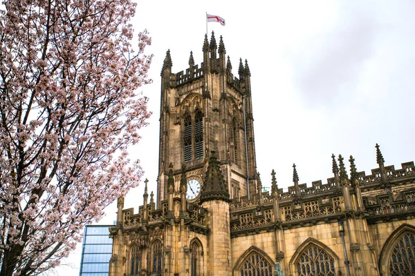 Catedral Manchester Iglesia Madre Diócesis Anglicana Manchester Sede Del Obispo — Foto de Stock