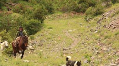 Mountain horses, mountain excursion on horseback.