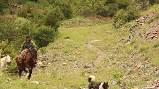 Mountain horses, mountain excursion on horseback. — Stock Video