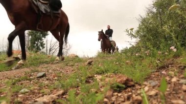 Mountain horses, mountain excursion on horseback.