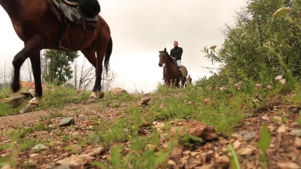 Caballos de montaña, excursión a caballo . — Vídeos de Stock