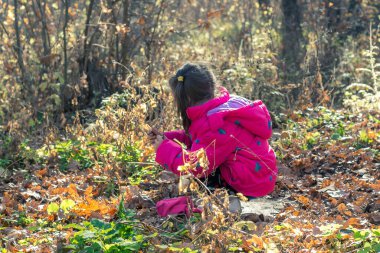 Çocuk sonbahar ormanında yürüyor.