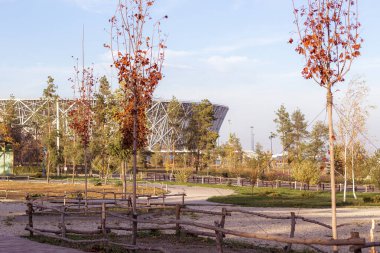 Sonbahar parkındaki stadyum manzarası