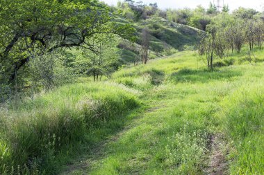 Yeşil vadideki tepeler arasında yol