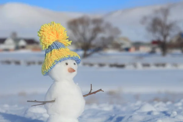 Bonhomme Neige Sur Fond Hiver — Photo