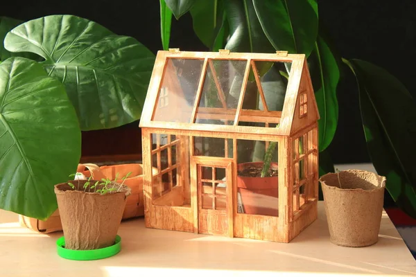 Miniatur Treibhaus Aus Holz Wohnkultur — Stockfoto