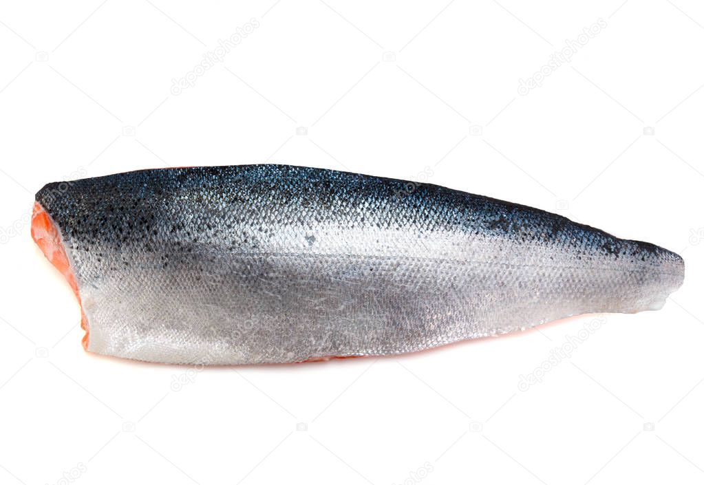 Fresh raw salmon fillet with scale isolated on white