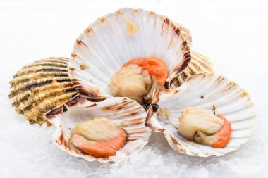 Kapalı ve açık tarak buza yerleştirilir