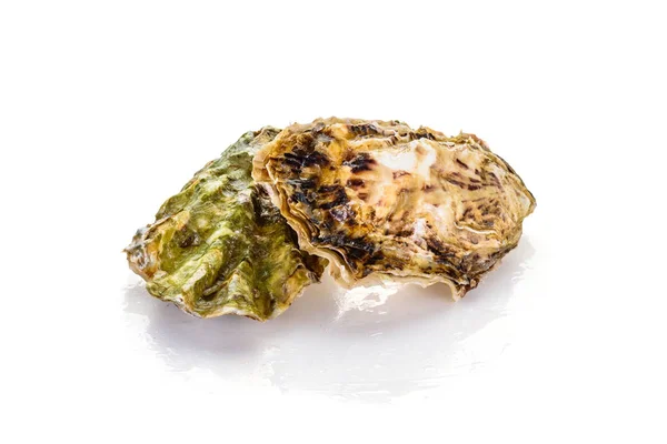 Fresh closed oyster isolated on white background — Stock Photo, Image