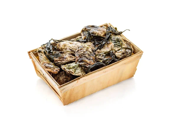 Fresh raw closed oyster in a wooden box isolated on white background — Stock Photo, Image