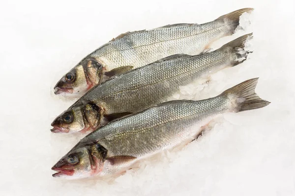 얼음에 신선한 농 어 물고기입니다. 요리에 대 한 준비. — 스톡 사진