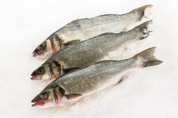 De USS perch verse vis op het ijs. Klaar voor het koken. — Stockfoto