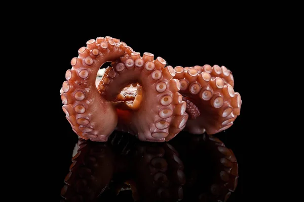 Baby octopus op zwarte achtergrond. Stockfoto