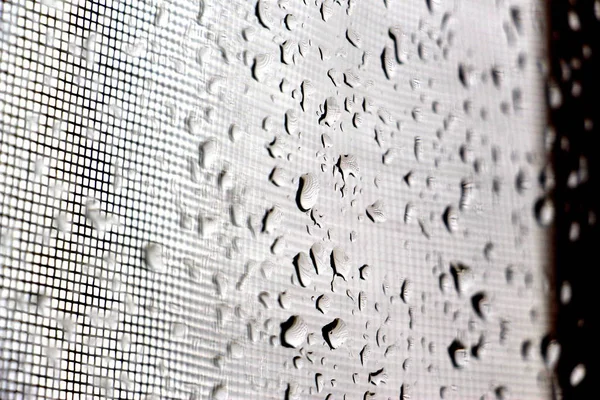 Rain Drops Window Close Glass Shower Wet Glass Gray Background — Stock Photo, Image