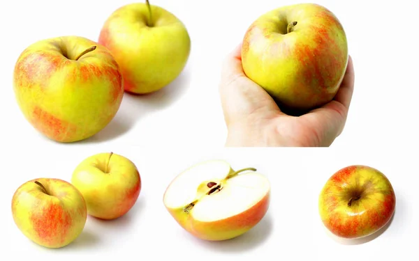 Frischer Apfel Auf Weißem Hintergrund Apfelsorte Champion — Stockfoto