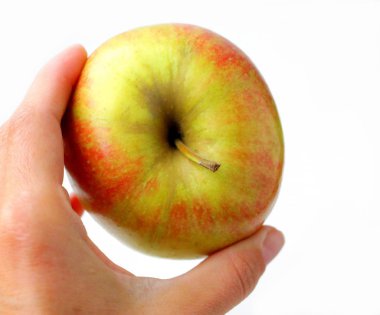 Beyaz arka planda taze elma. Apple Varyetesi - Şampiyon.