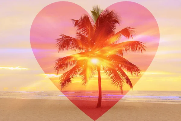 Serce Palmy Miłość Podróży Wysp Plaż — Zdjęcie stockowe