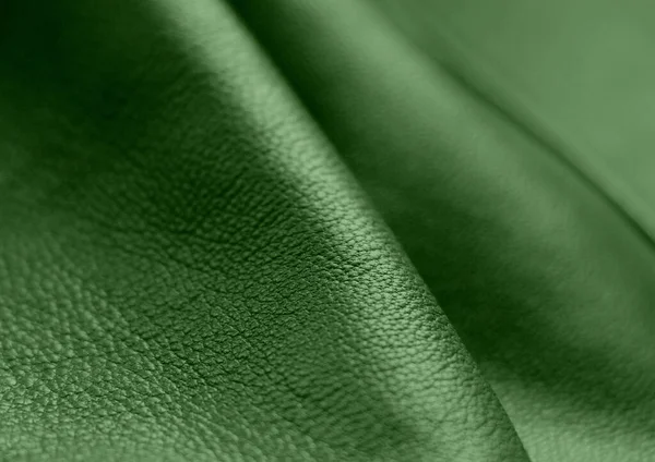 Natural leather texture. Green skin.