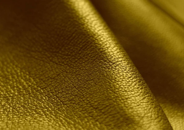 Natural leather texture. Green skin.