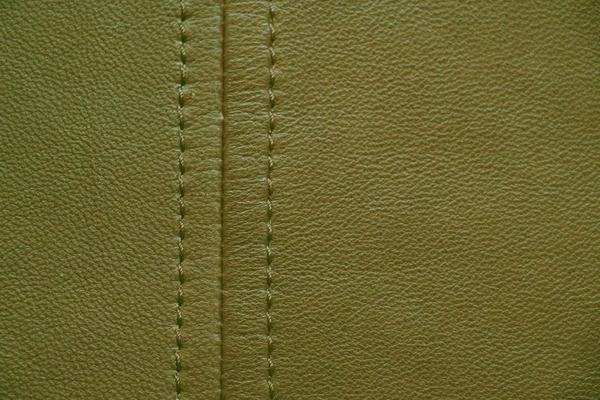 Natural leather texture. Green skin.