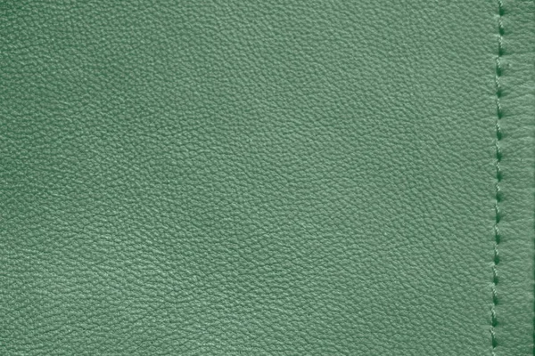 Natural Leather Texture Green Skin — Stock Photo, Image