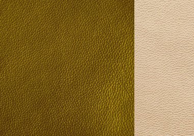 Doğal deri dokusu. Yeşil ten.