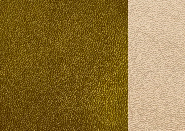 Natural leather texture. Green skin.