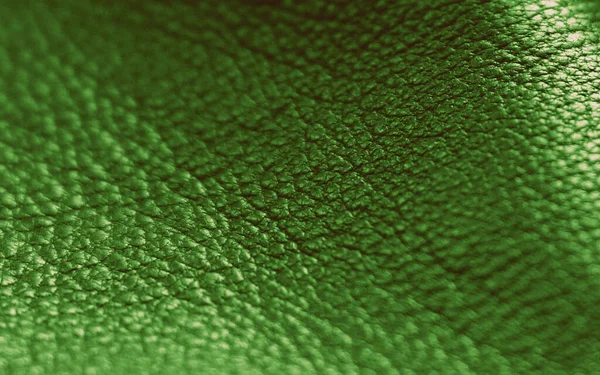 Přírodní Kožená Textura Zelená Kůže — Stock fotografie