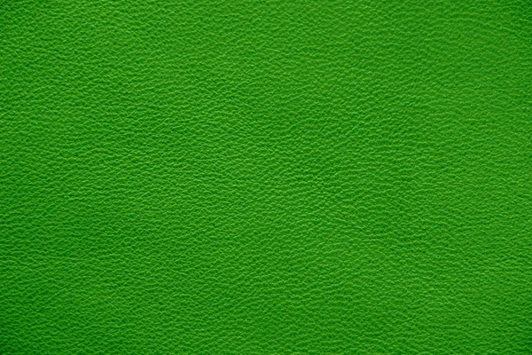 Natuurlijke Leertextuur Groene Huid — Stockfoto