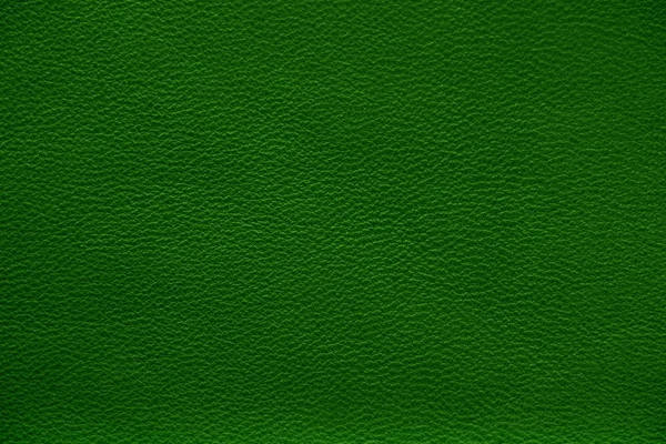 Natural leather texture. Green skin.