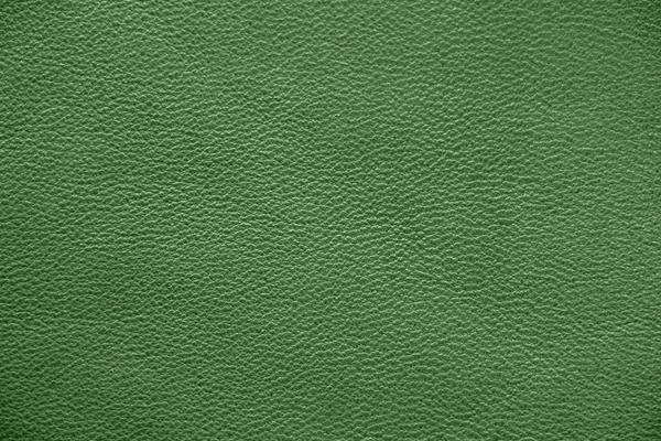 Naturlig Läderstruktur Grön Hud — Stockfoto